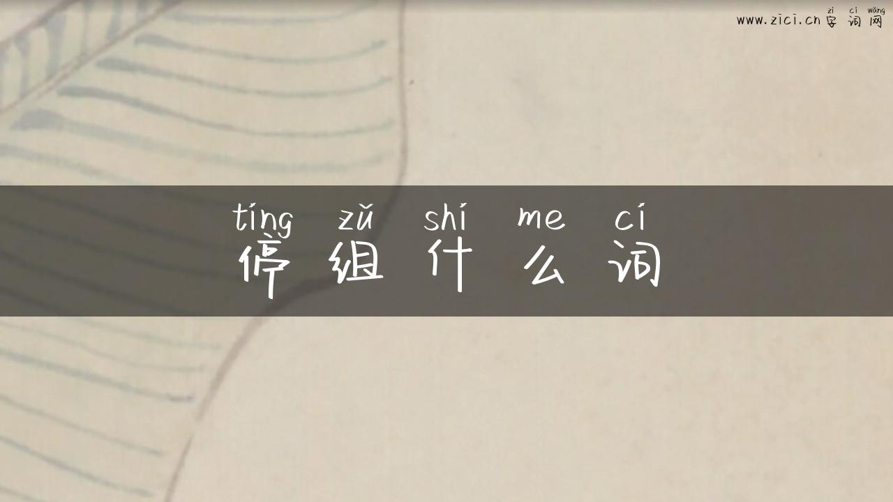 停组什么词