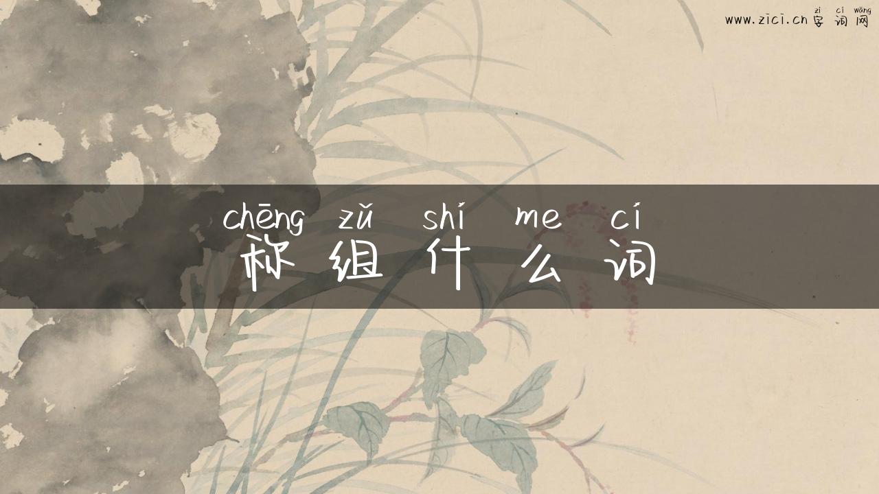 称组什么词