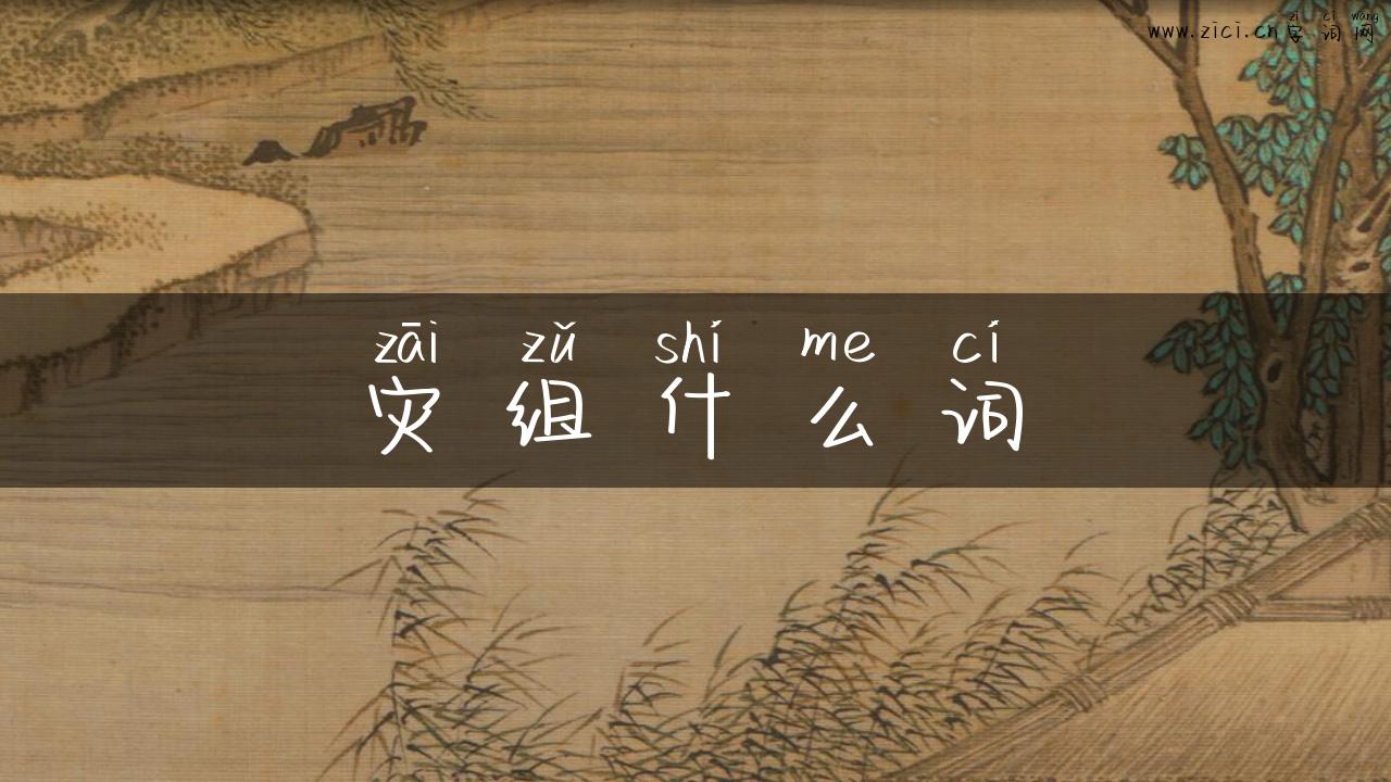灾组什么词