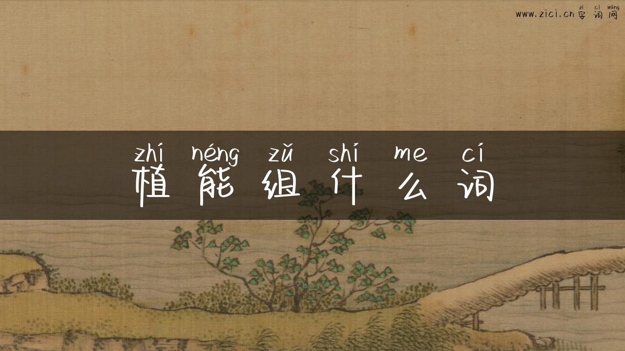 植能组什么词