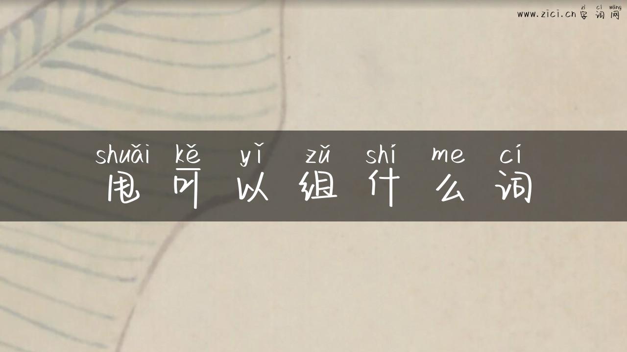 甩可以组什么词