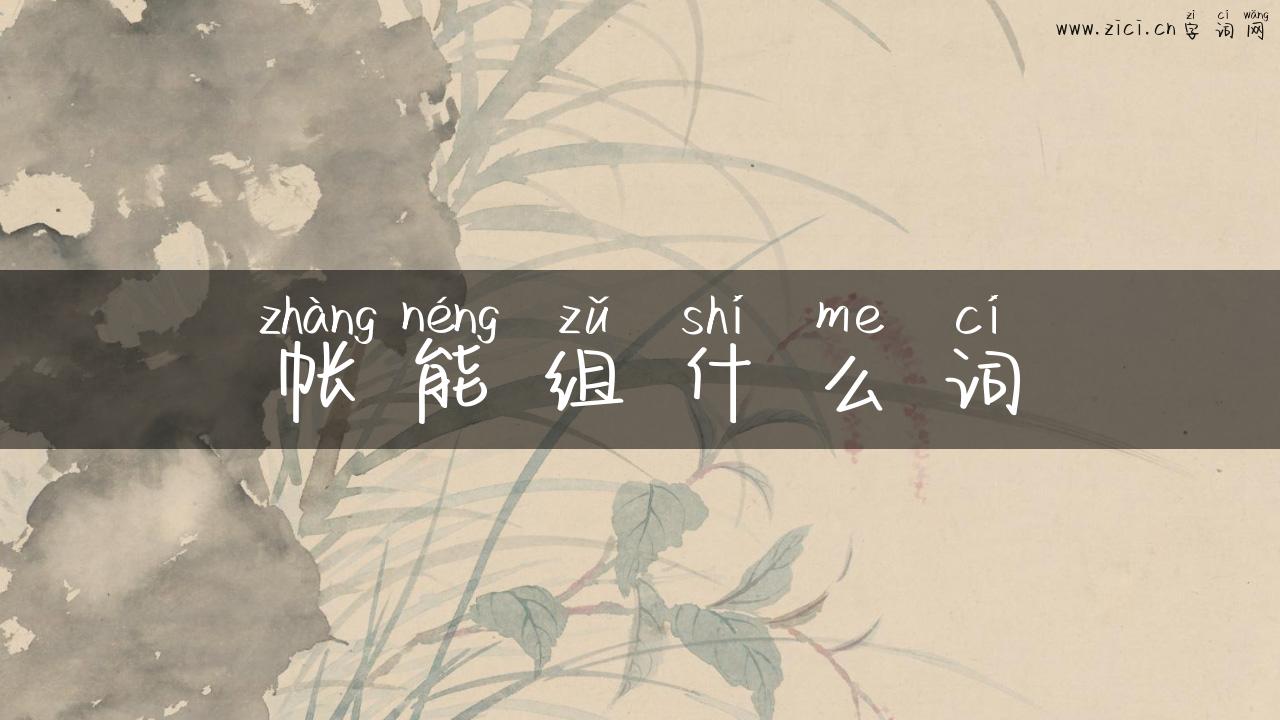 帐能组什么词