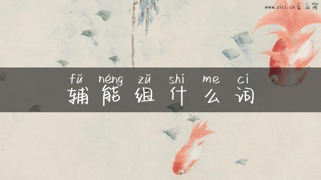 辅能组什么词