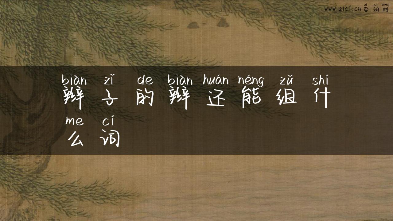 辫子的辫还能组什么词