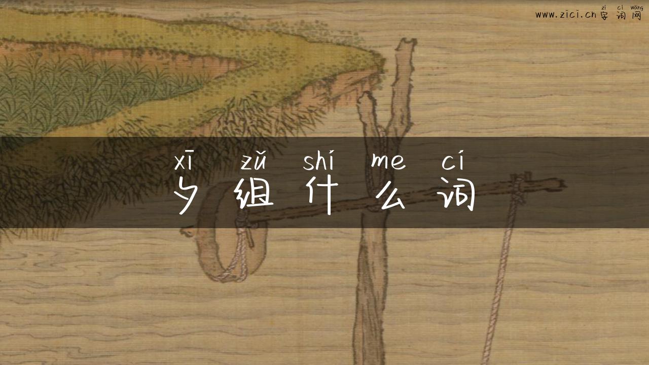 夕组什么词