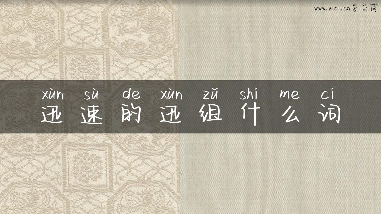 迅速的迅组什么词