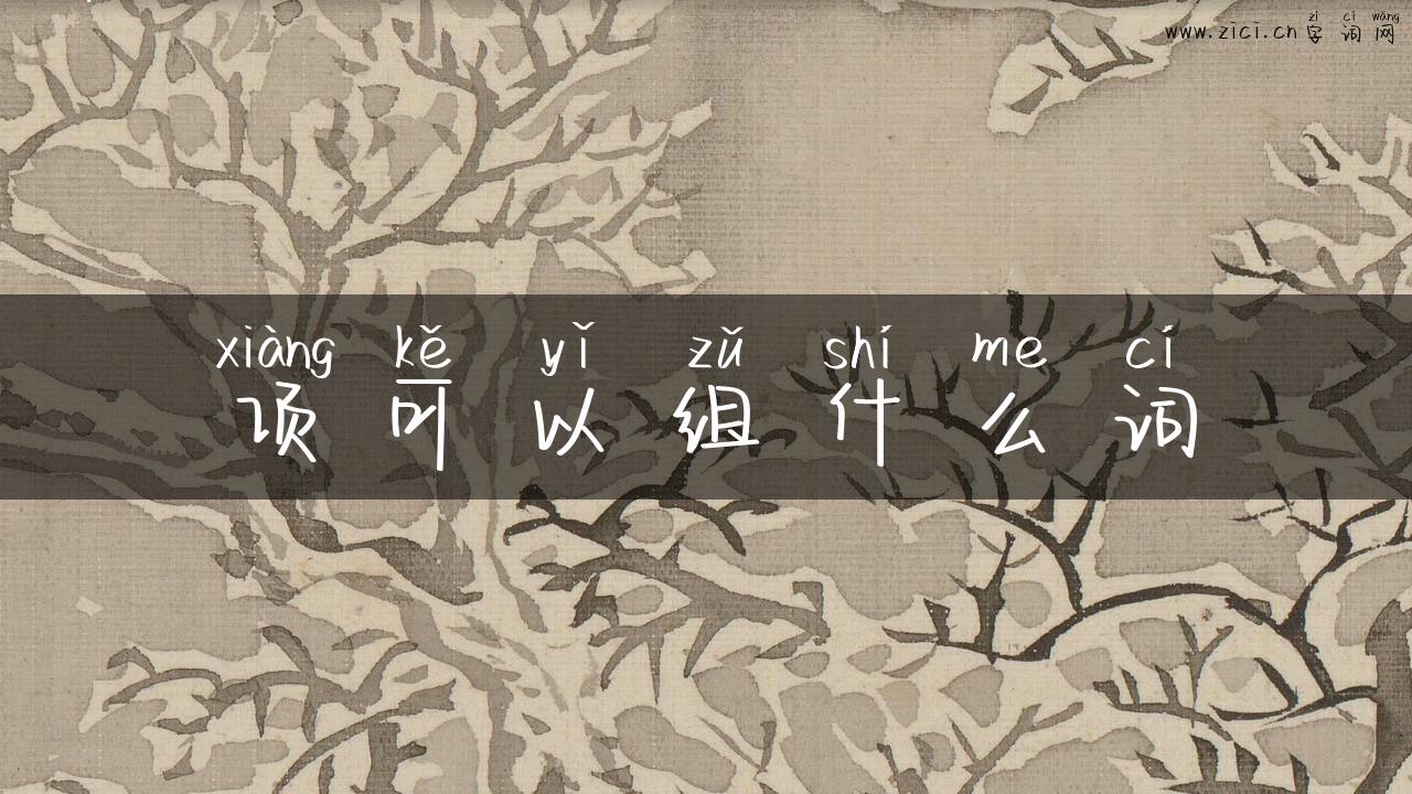 项可以组什么词
