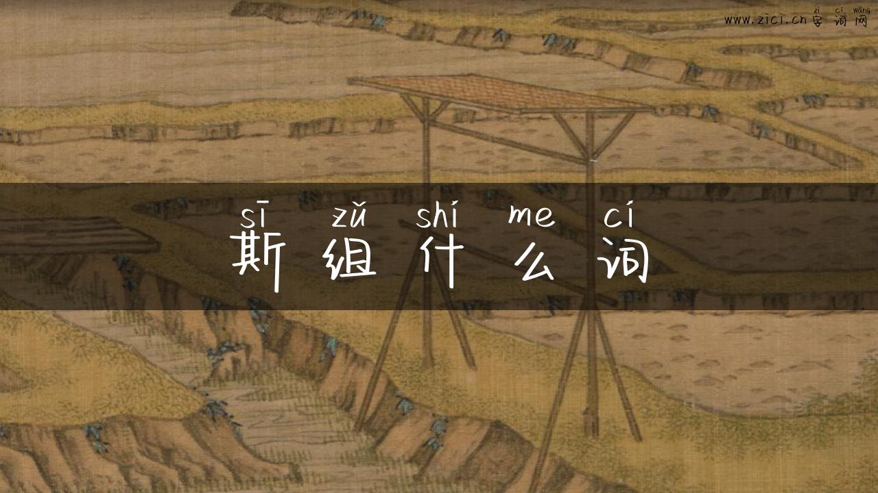 斯组什么词
