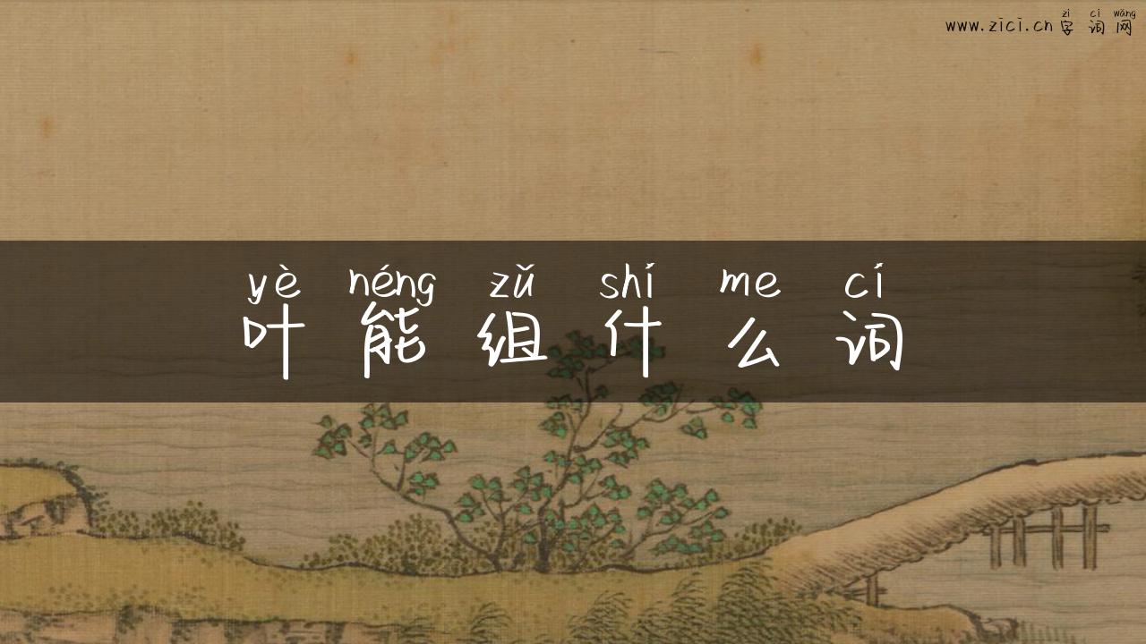 叶能组什么词