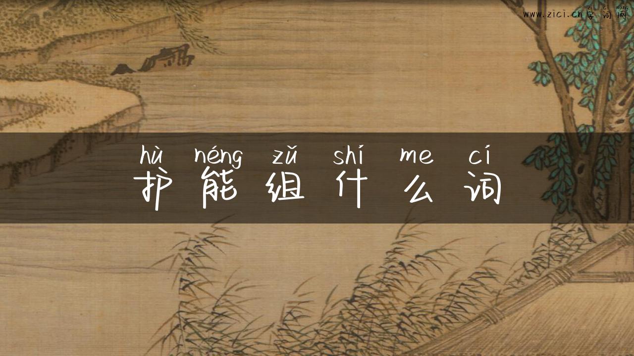 护能组什么词
