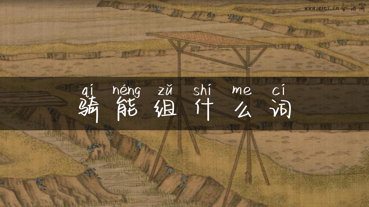 骑能组什么词