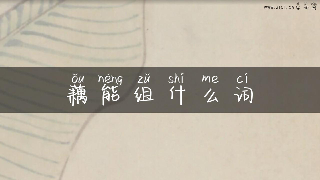 藕能组什么词