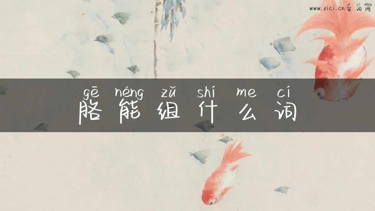 胳能组什么词