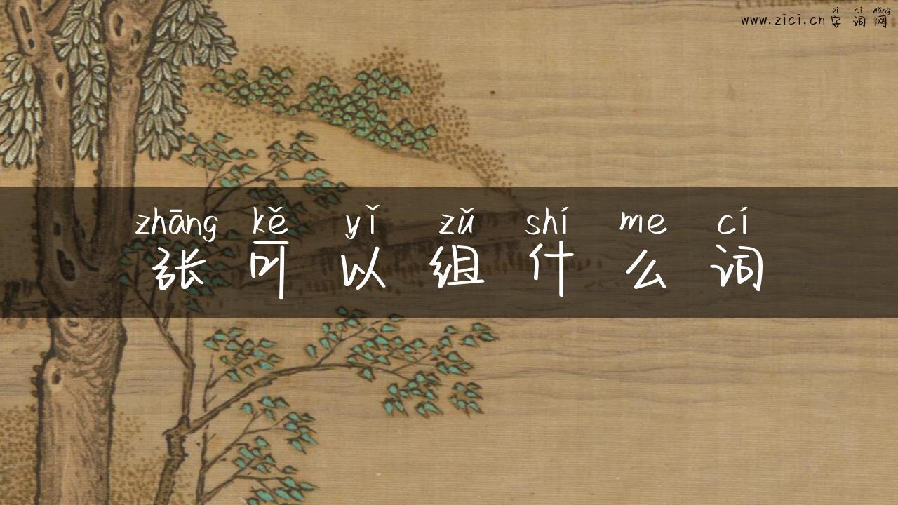 张可以组什么词