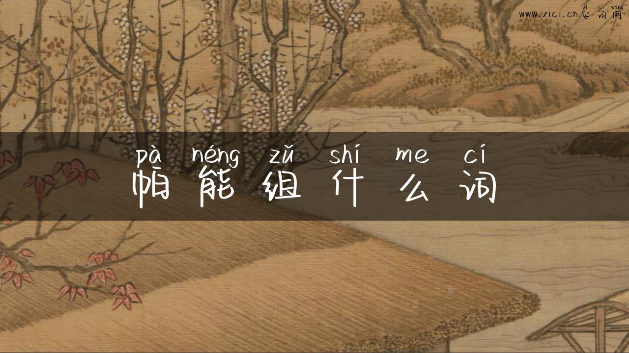 帕能组什么词