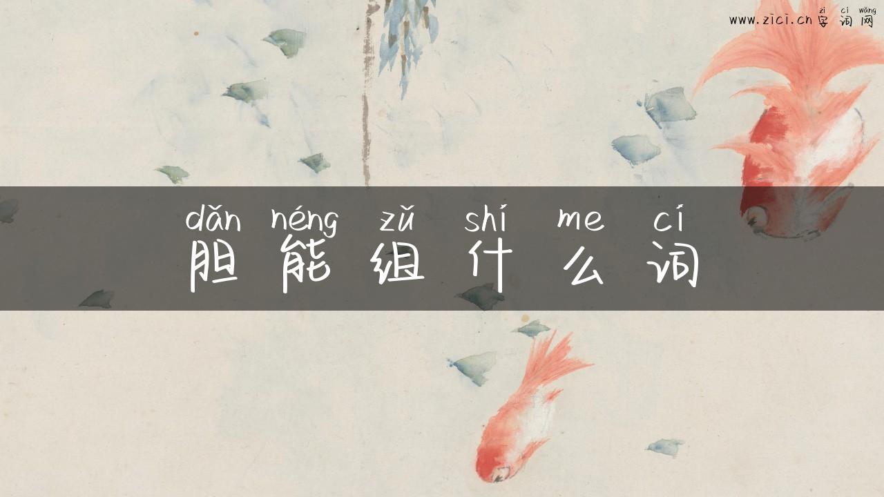 胆能组什么词
