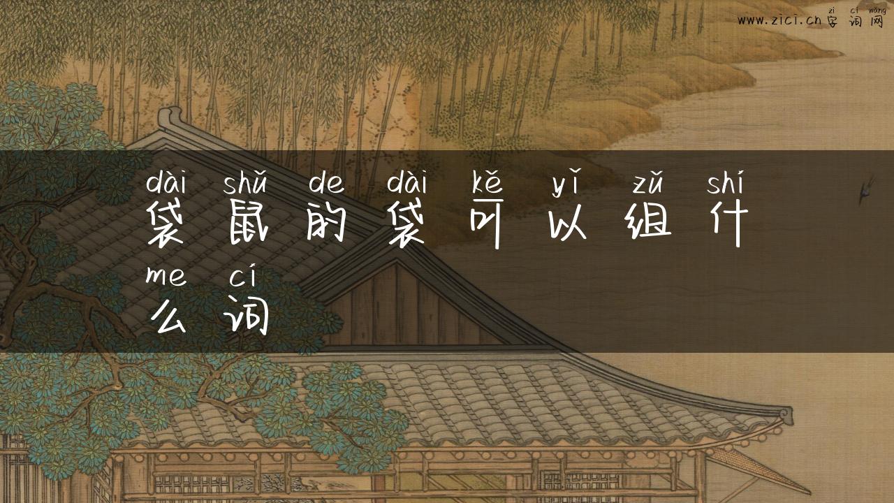 袋鼠的袋可以组什么词