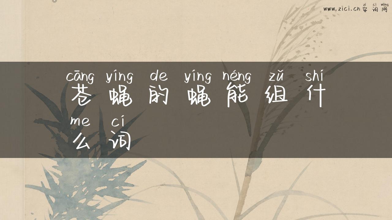 苍蝇的蝇能组什么词