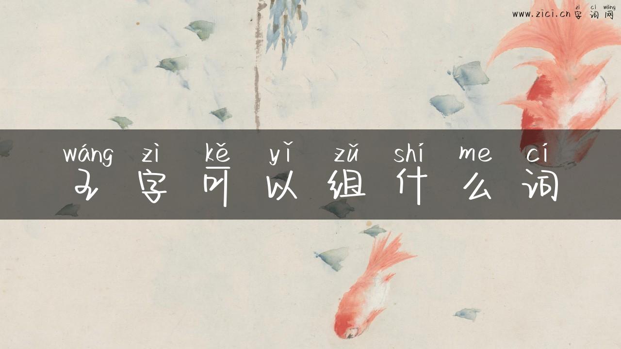 王字可以组什么词