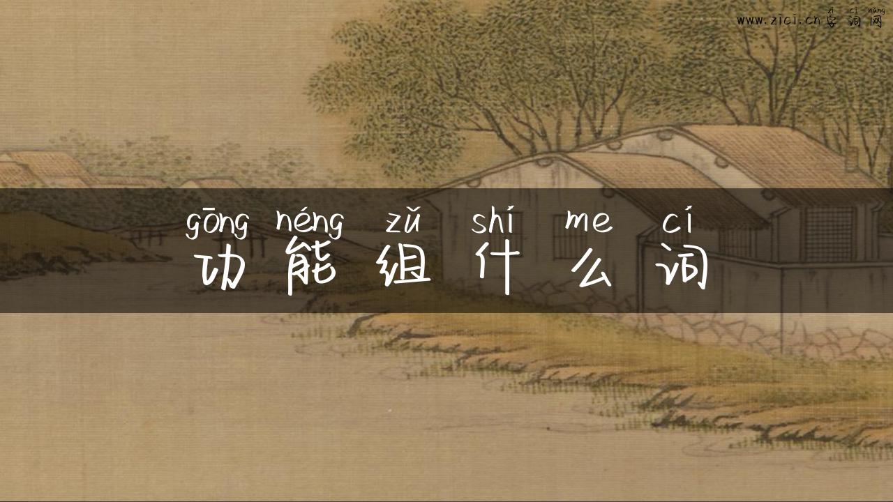 功能组什么词