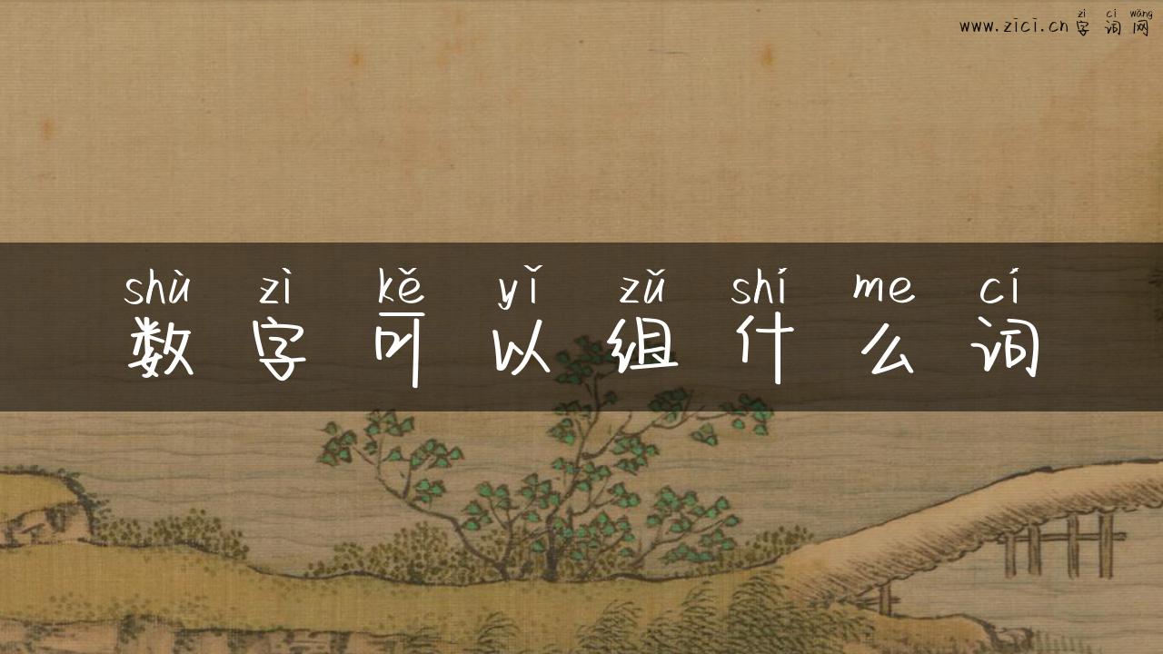 数字可以组什么词