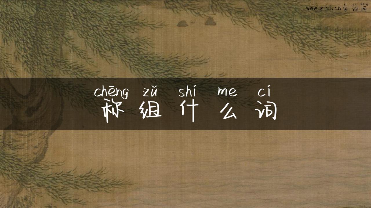 称组什么词