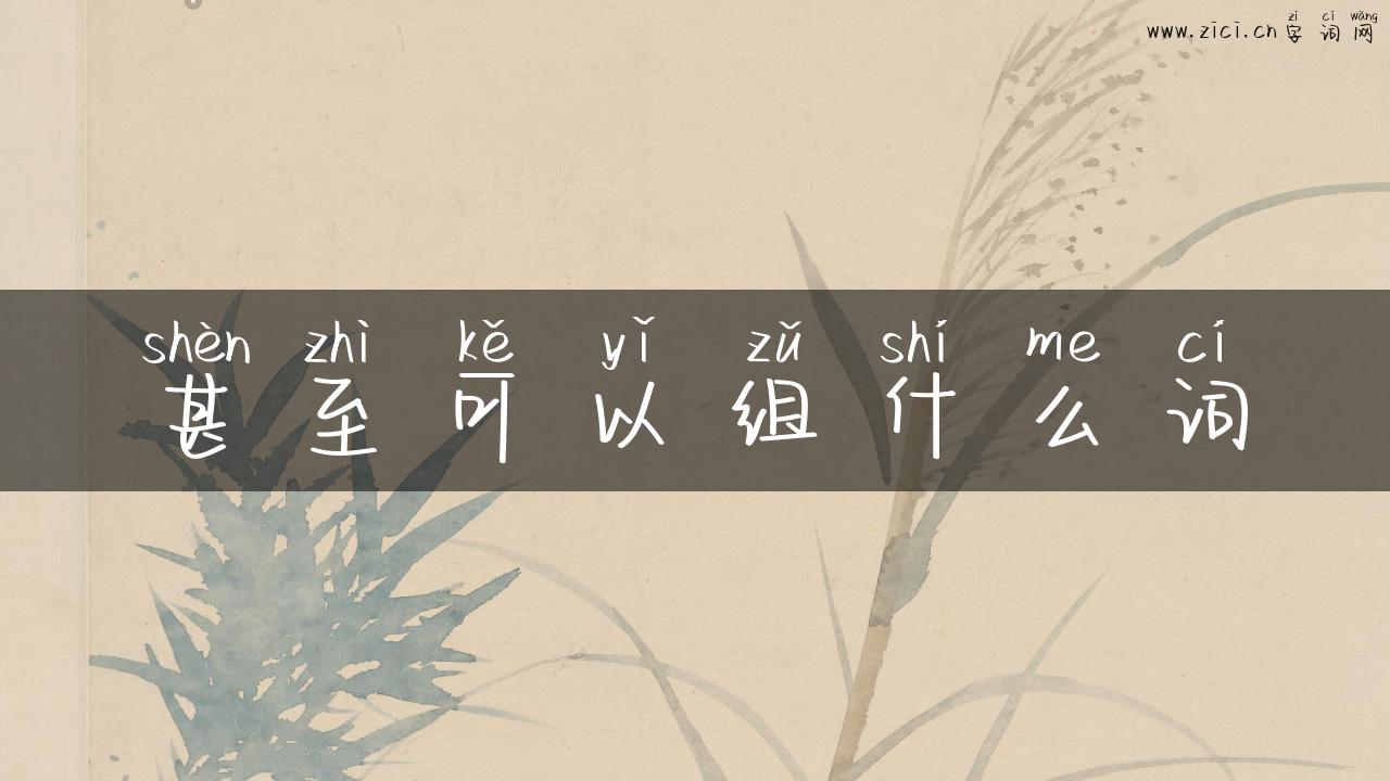 甚至可以组什么词