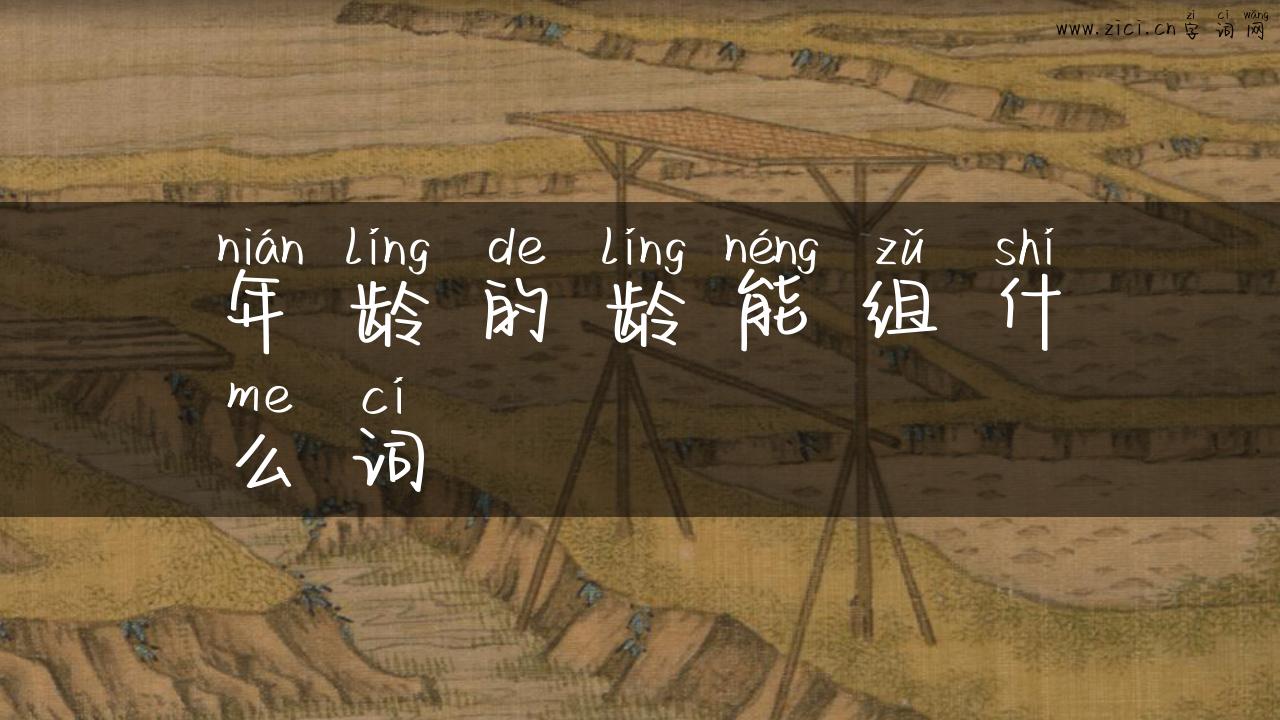 年龄的龄能组什么词
