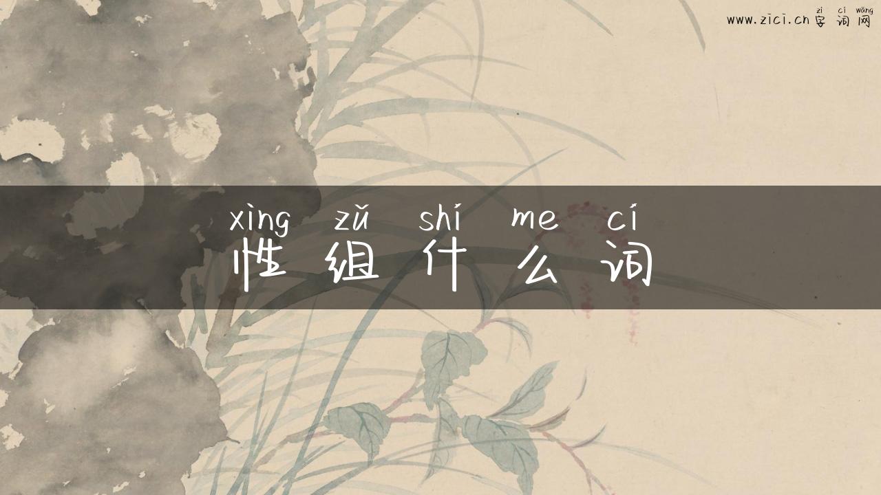 性组什么词