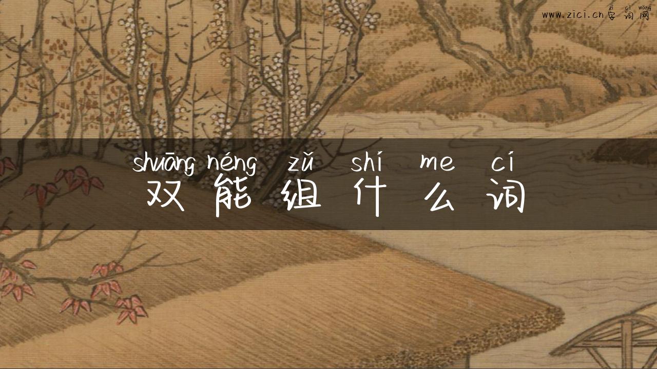 双能组什么词