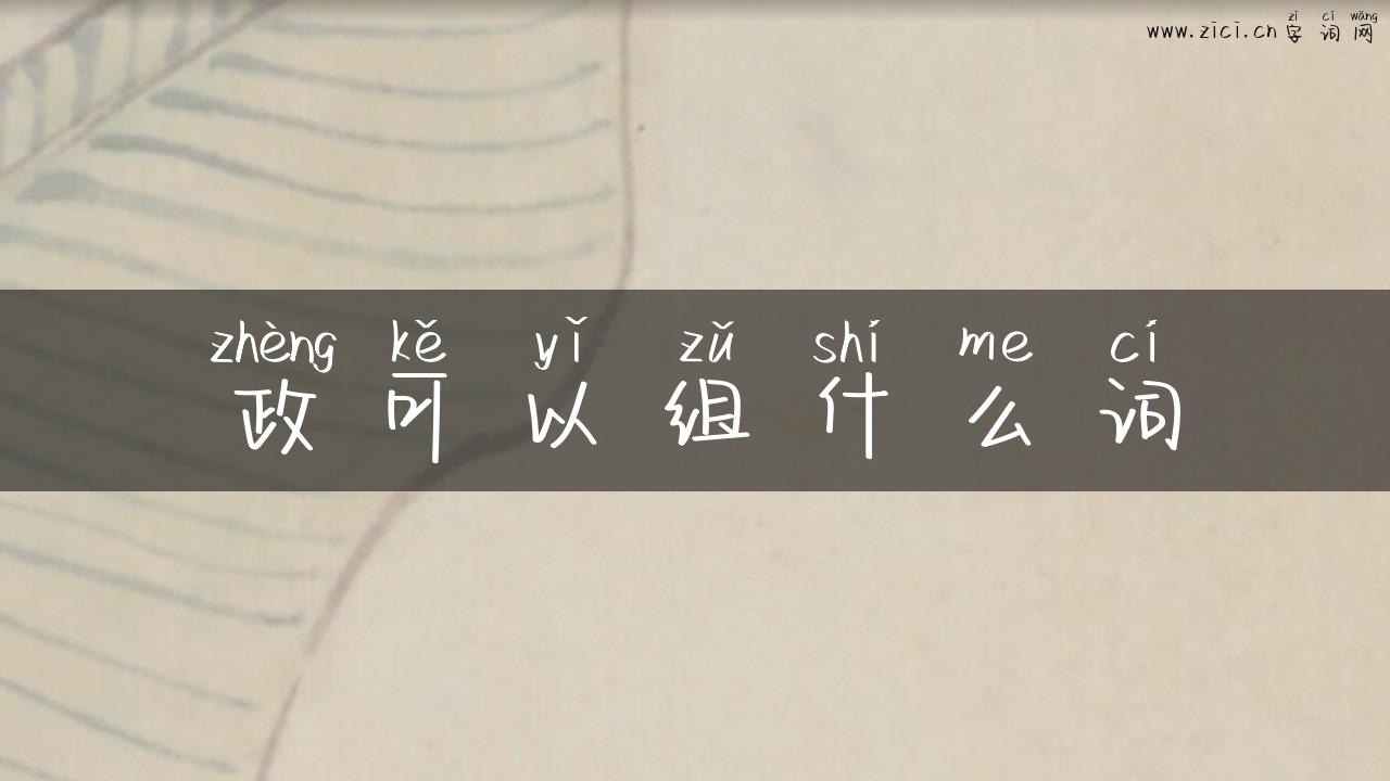 政可以组什么词