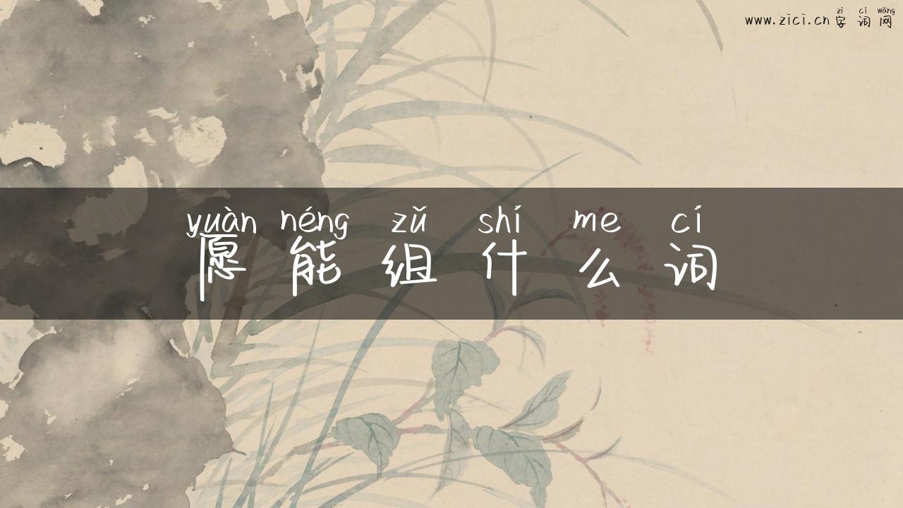愿能组什么词