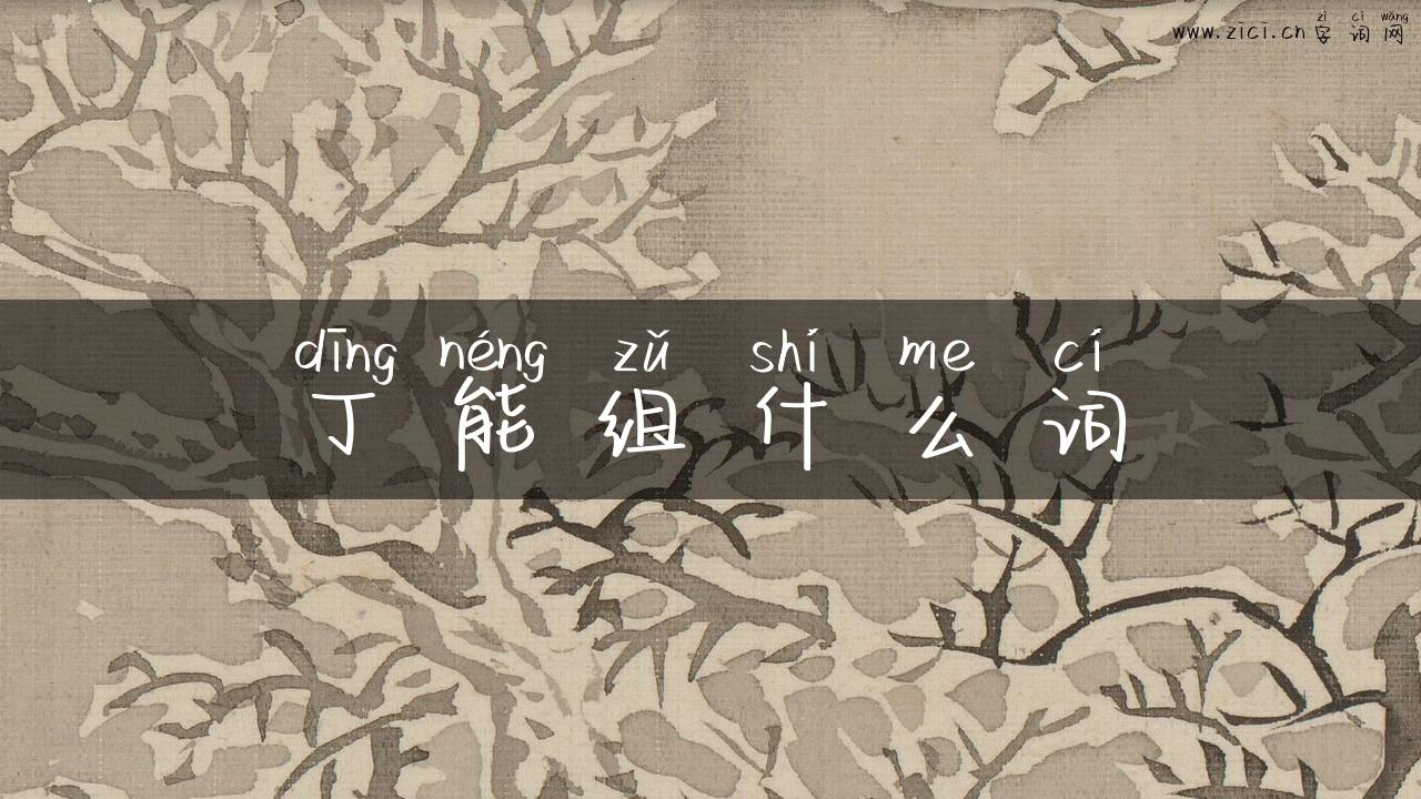 丁能组什么词