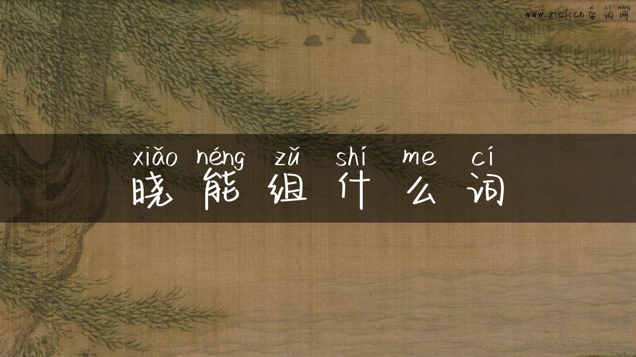 晓能组什么词