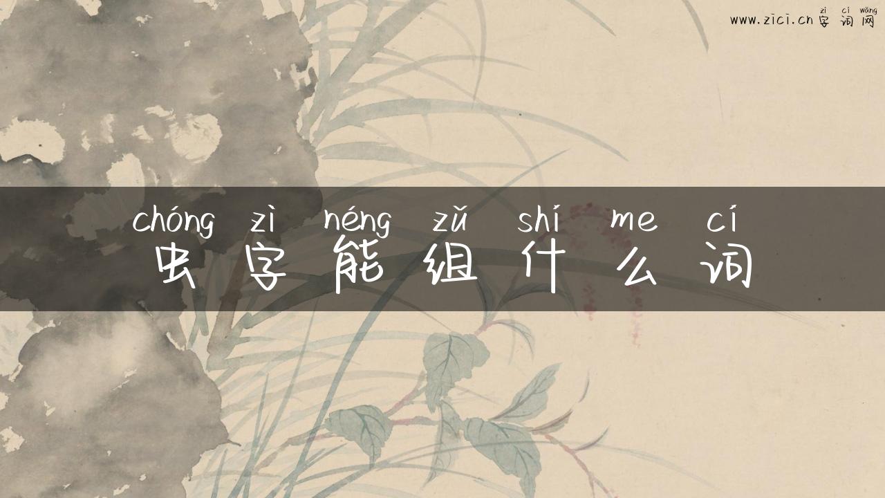 虫字能组什么词