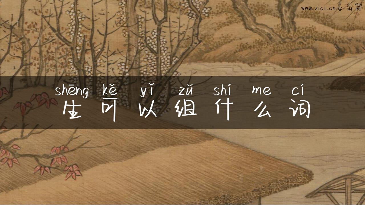 生可以组什么词