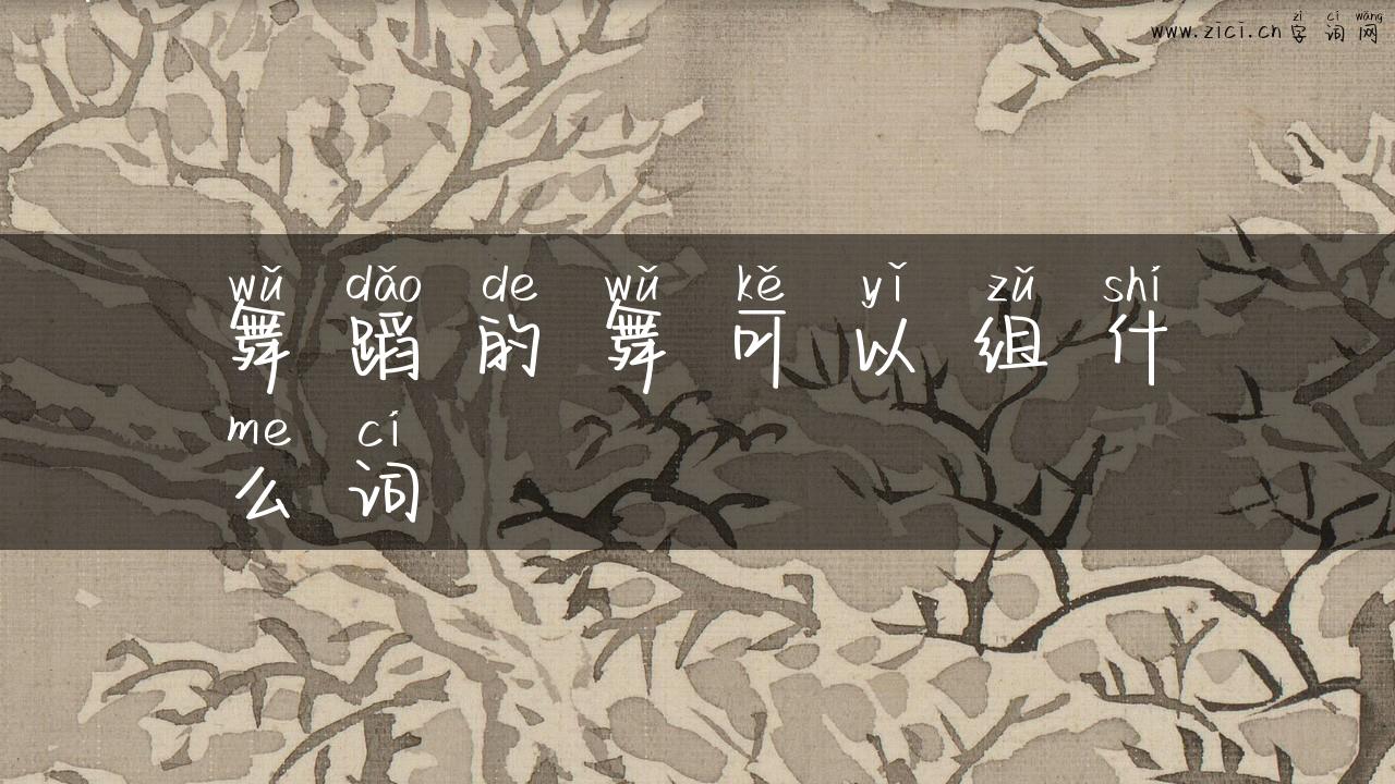 舞蹈的舞可以组什么词