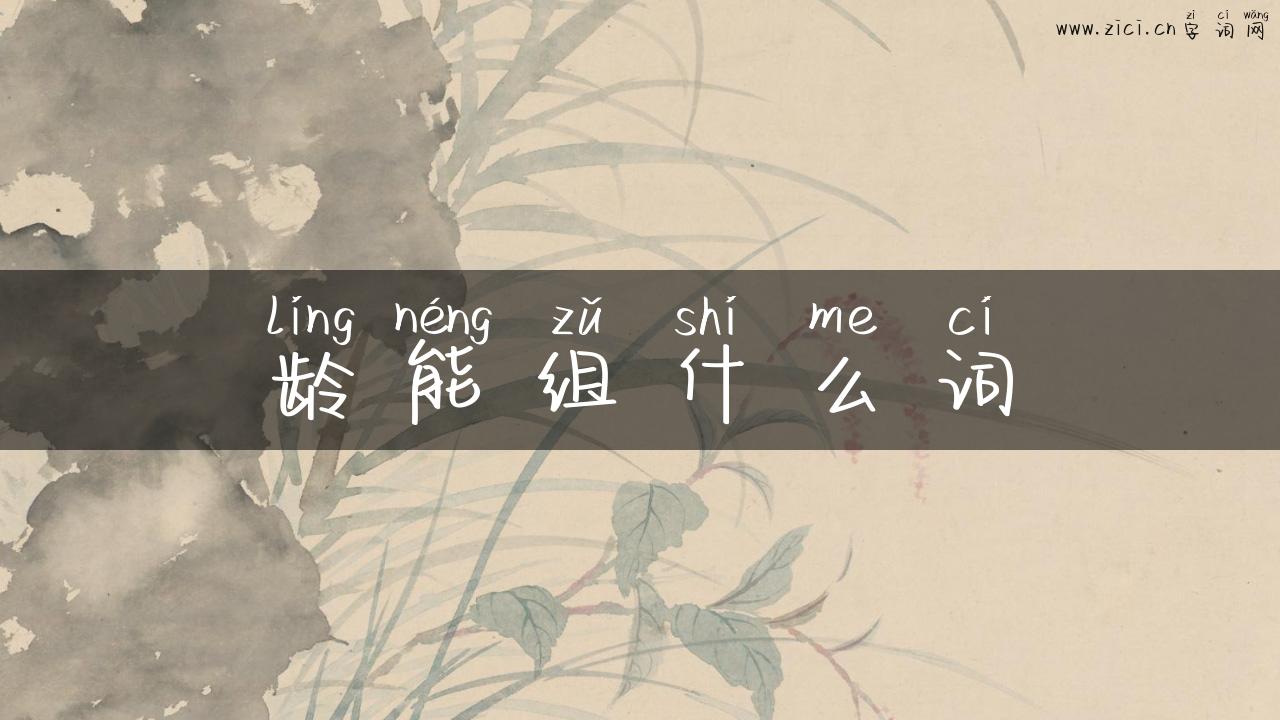 龄能组什么词