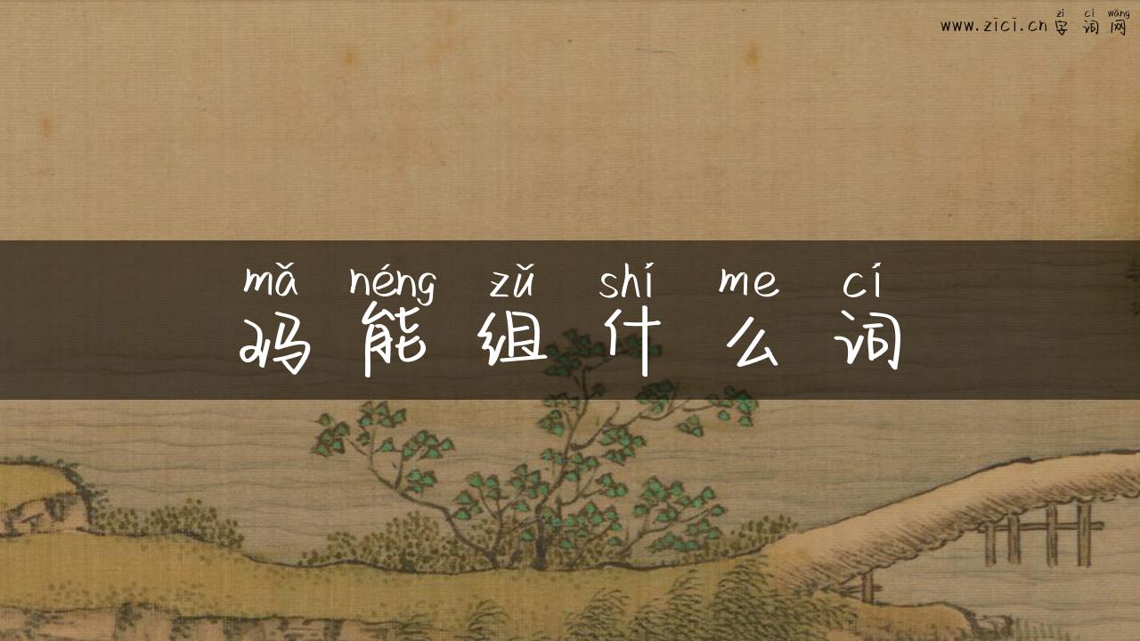 玛能组什么词