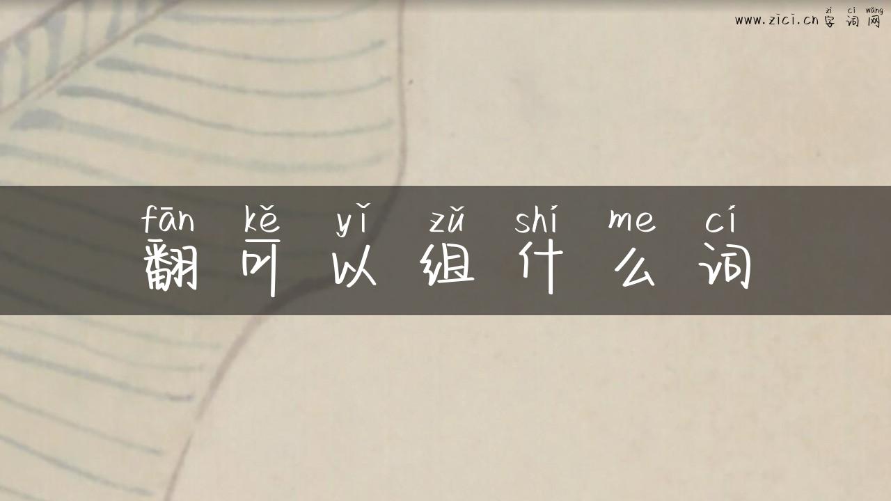 翻可以组什么词