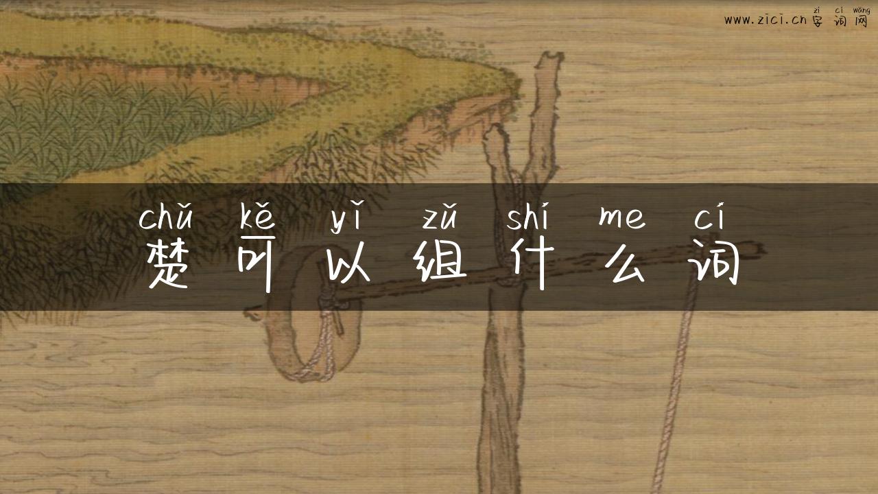楚可以组什么词