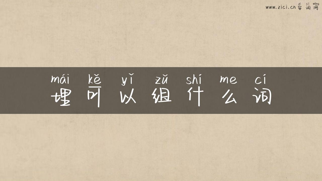 埋可以组什么词