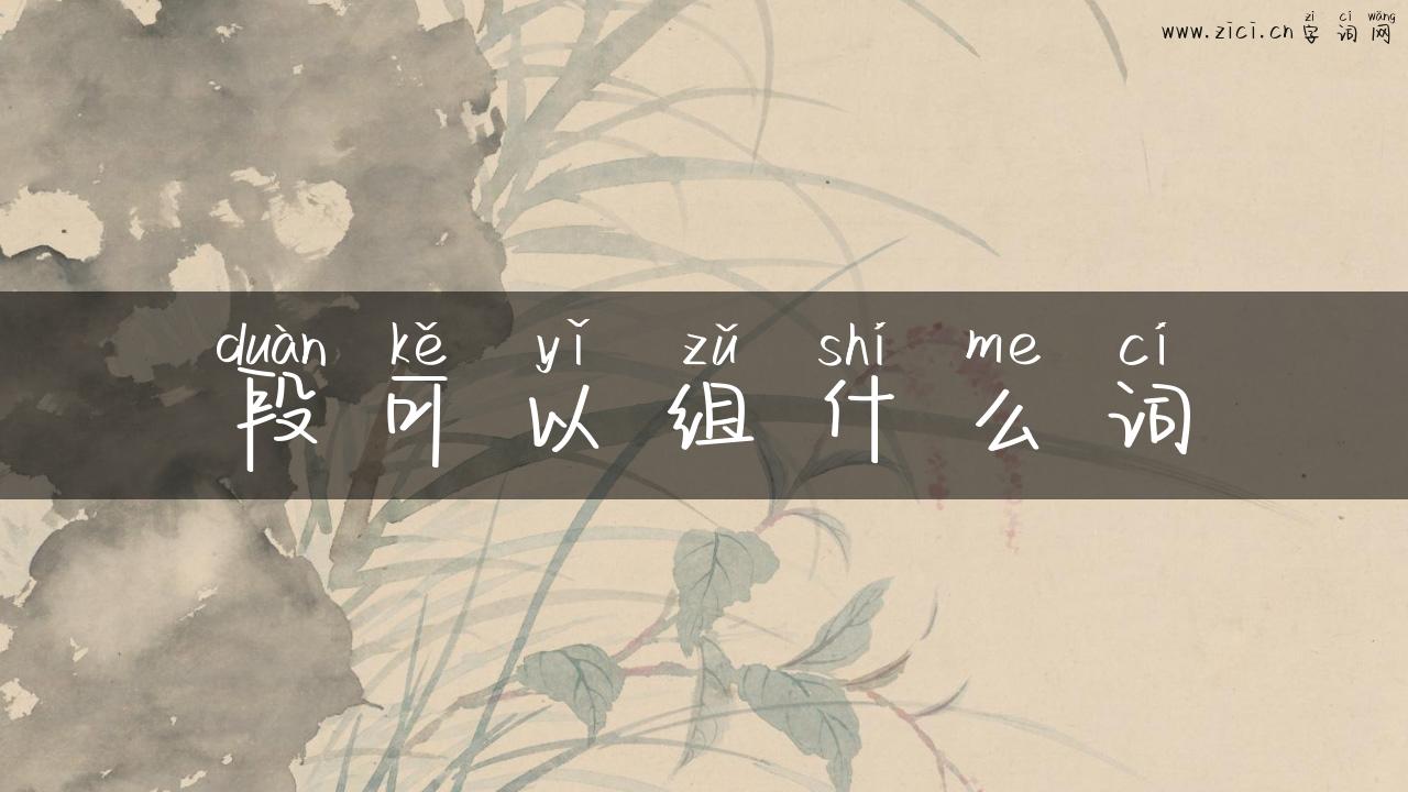 段可以组什么词
