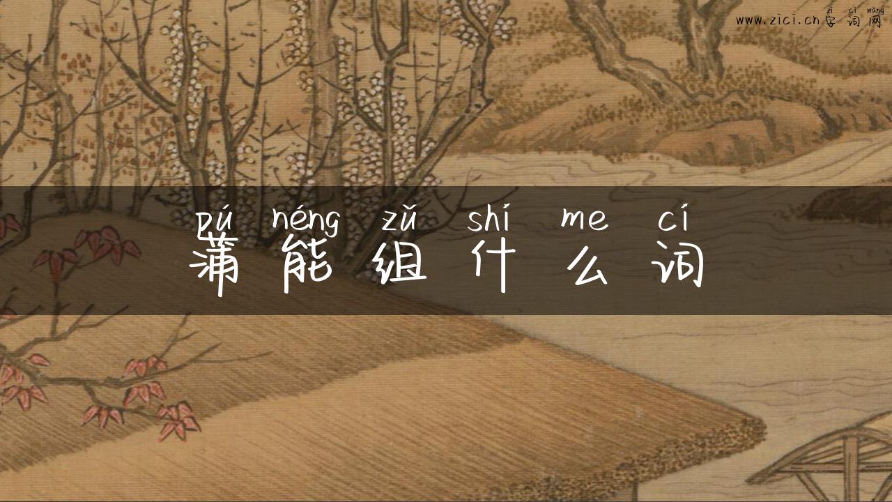 蒲能组什么词