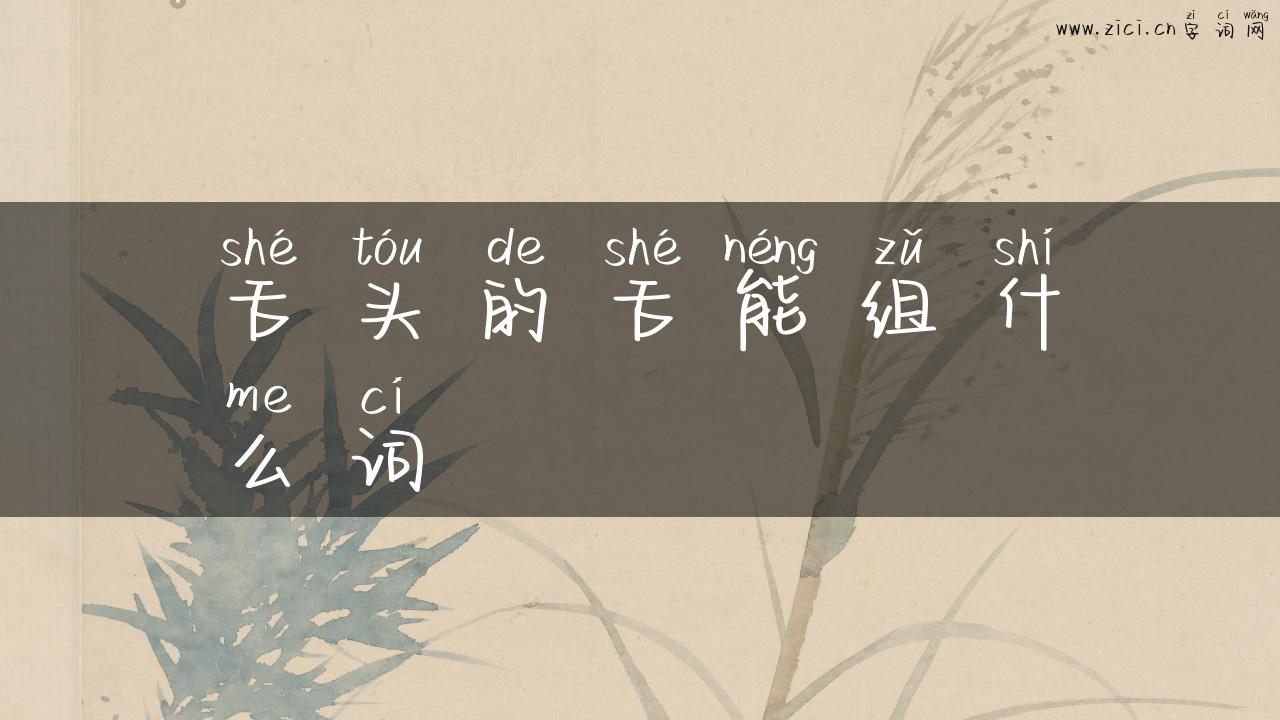 舌头的舌能组什么词