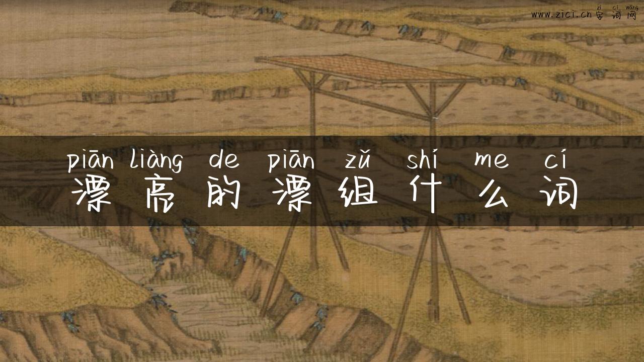 漂亮的漂组什么词