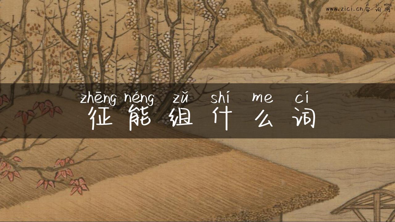 征能组什么词
