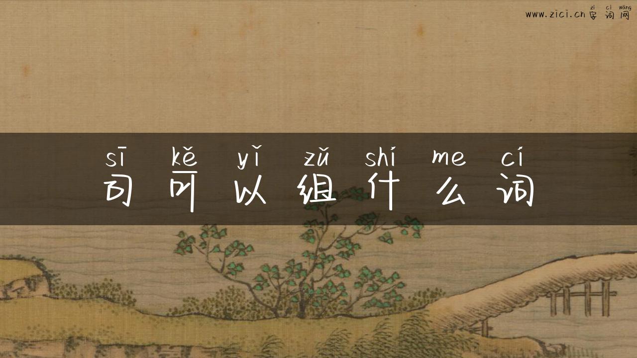 司可以组什么词