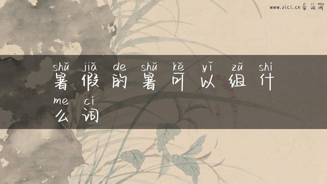 暑假的暑可以组什么词