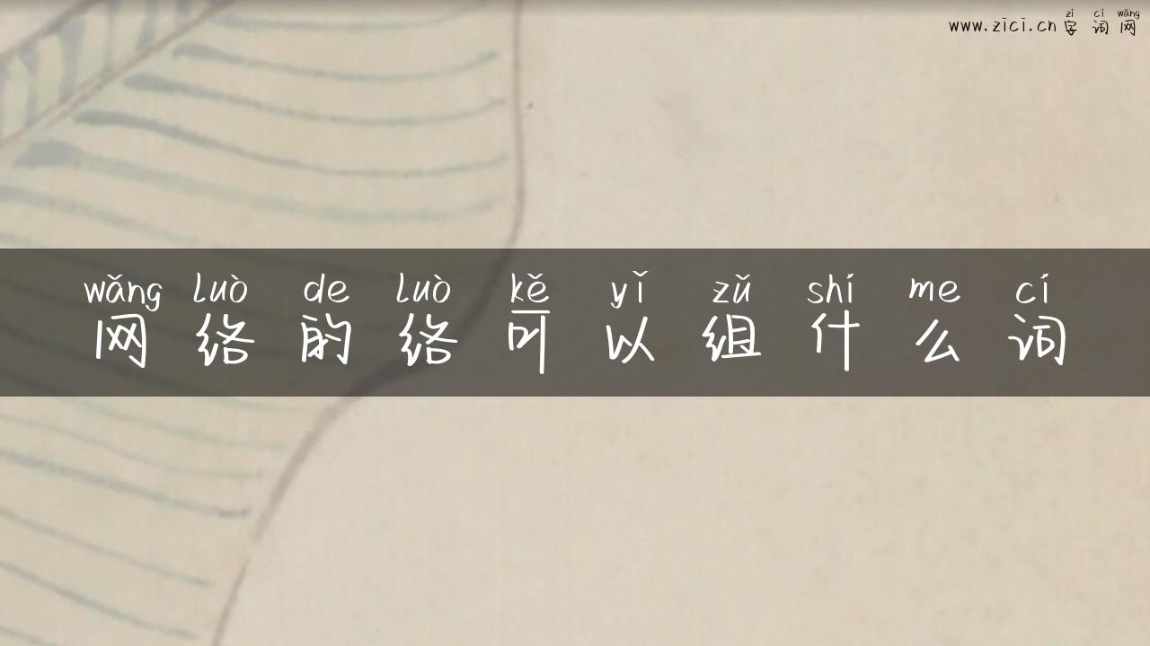 网络的络可以组什么词